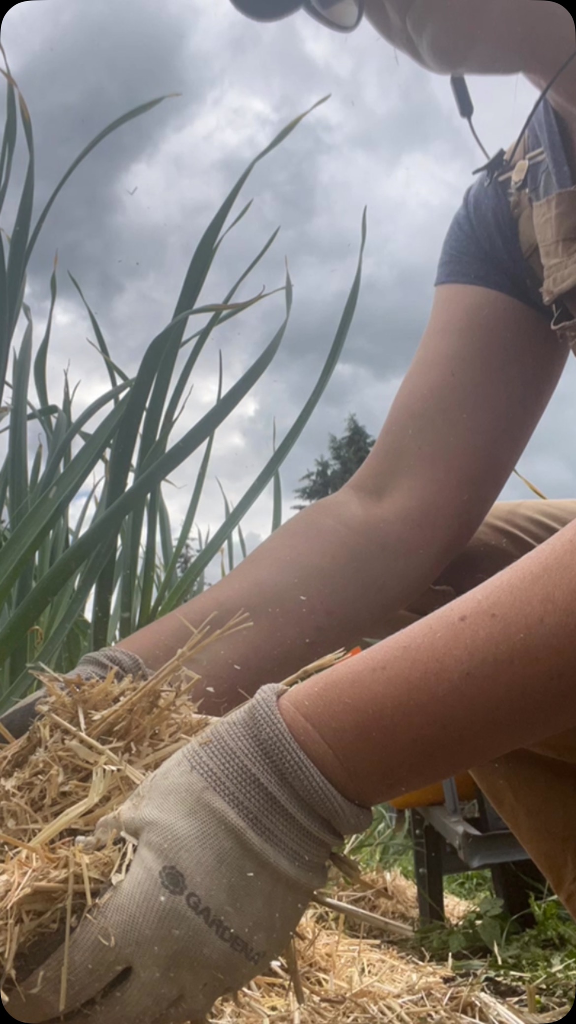 Two Crows Farm | Clearwater BC