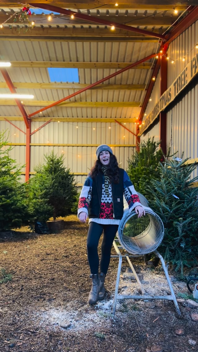 Cowbridge Christmas Tree Farm | Welsh Saint Donats