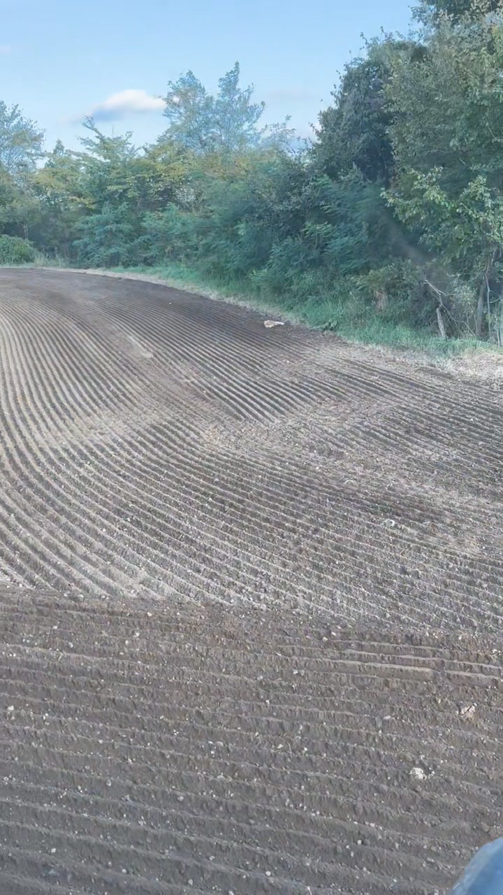 るーるるるるるるる🦊 | 前田農産食品 株式会社
