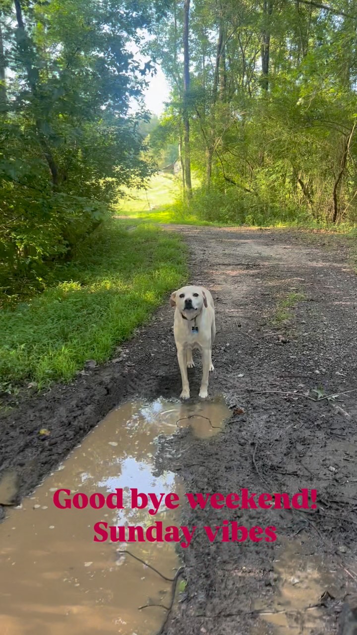 A quiet Sunday after a busy weekend with family. No shortage of mud ...