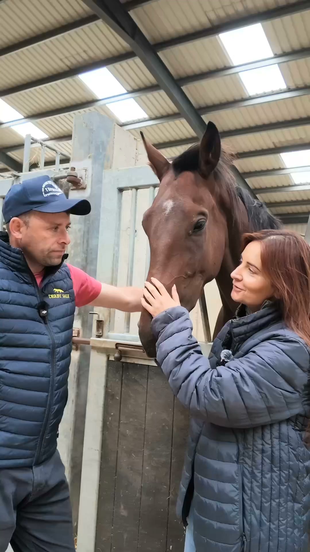 A visit to Matty Flynn's Ballycrystal Stables where so many stars