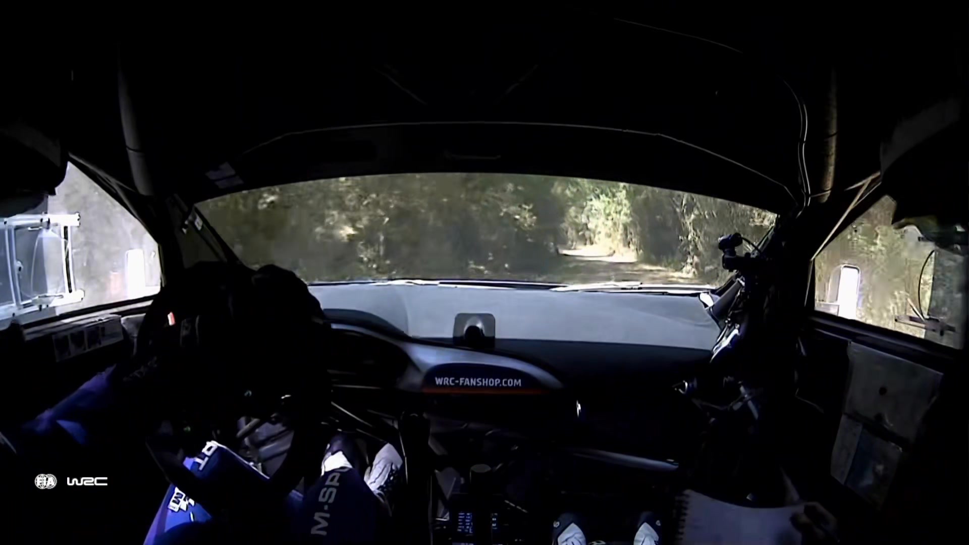 RallyFish