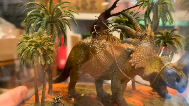 Zipping backward through time for a peek at how the Triceratops