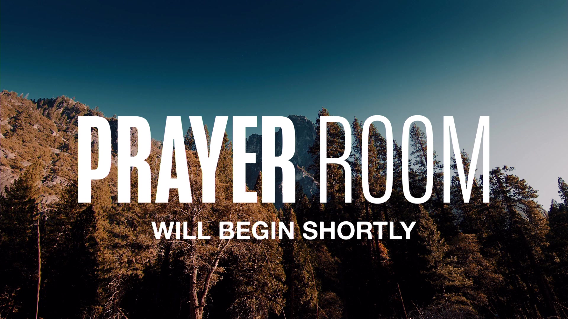 New Life Church | Corpus Christi TX