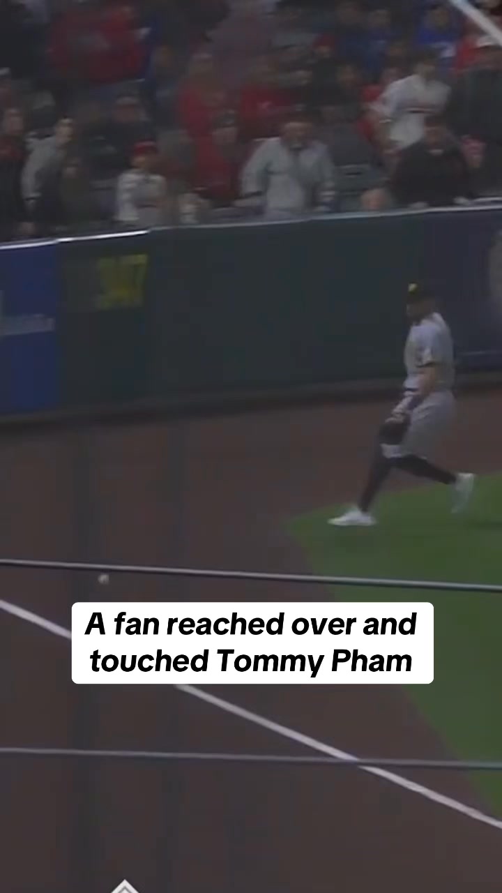 Tommy Pham was not happy after a fan reached over and touched him | MLB ...