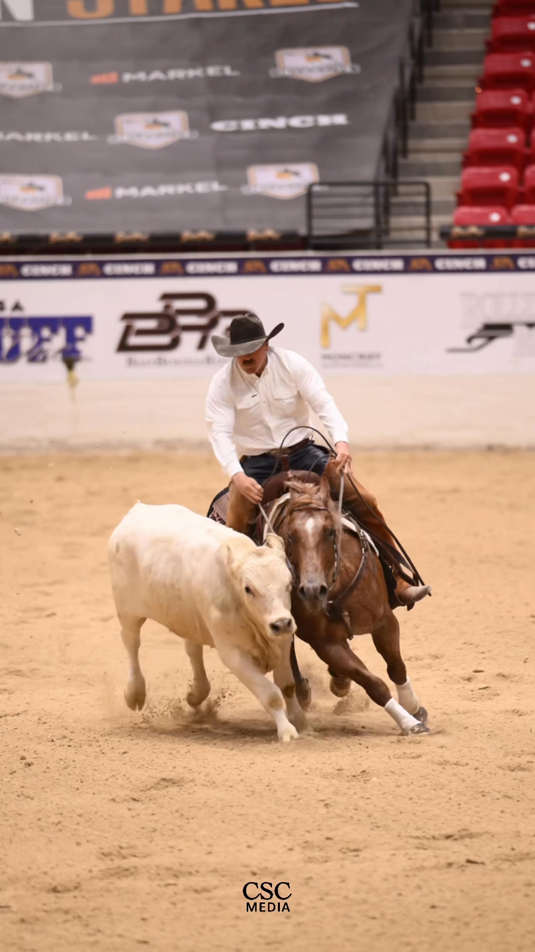 ️This mare has so much heart!! ️ 𝐀𝐍𝐍𝐈𝐄𝐑𝐄𝐘𝐕𝐎𝐍 ( Stevie Rey Von X Smart ...