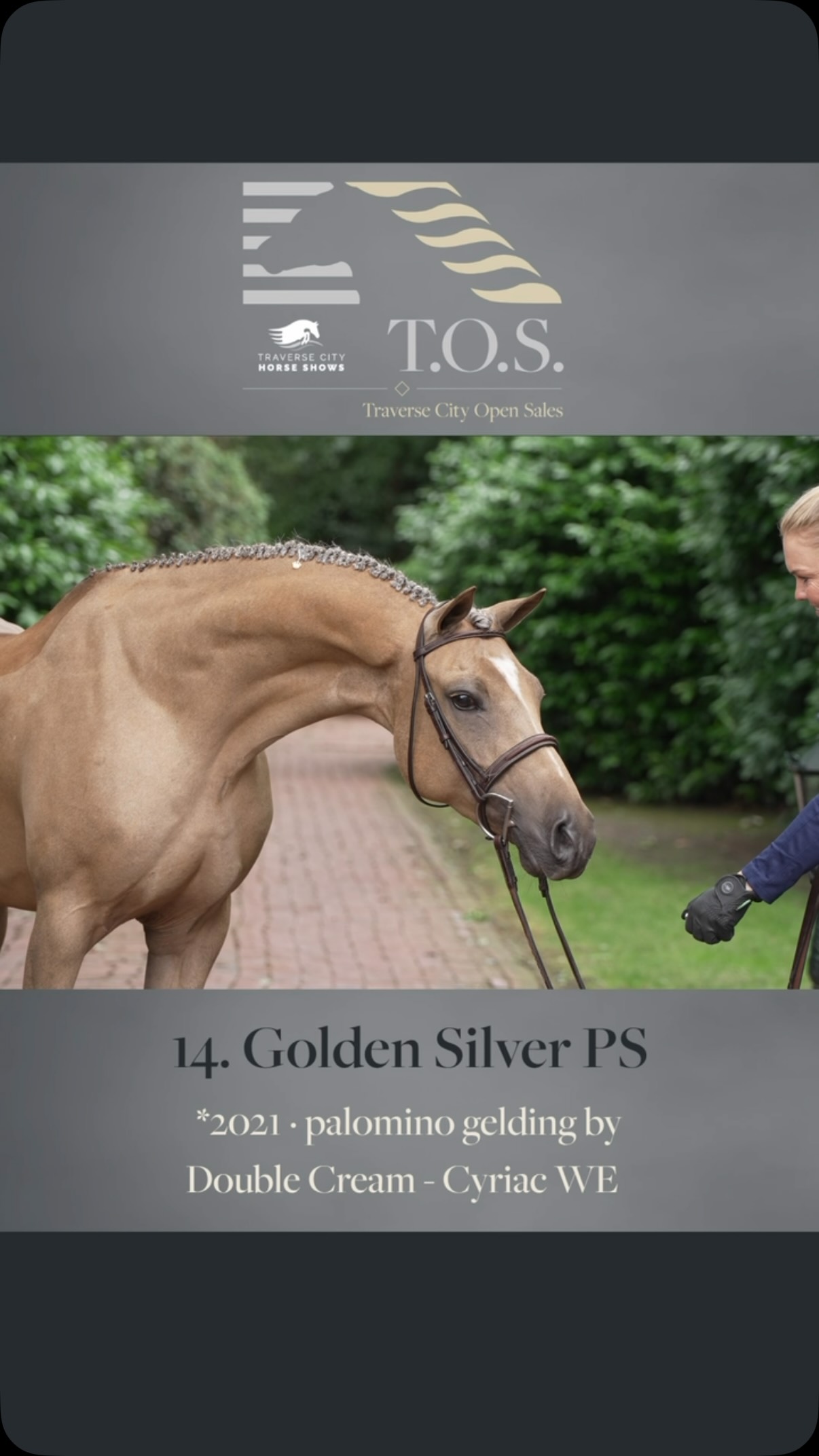 🇺🇸 Traverse City Open Sales Auction - July 18th, 2026 🇺🇸 Meet