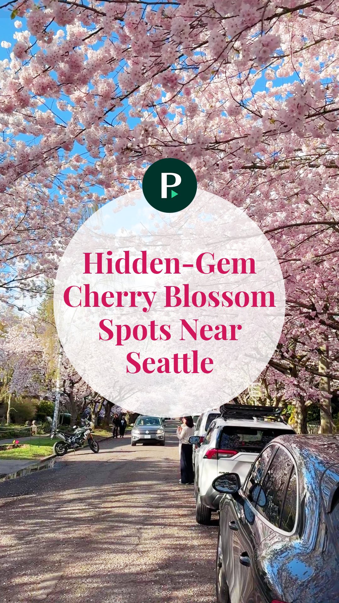 They’re finally here! 🌸 Spring in Greater Seattle isn’t official until ...