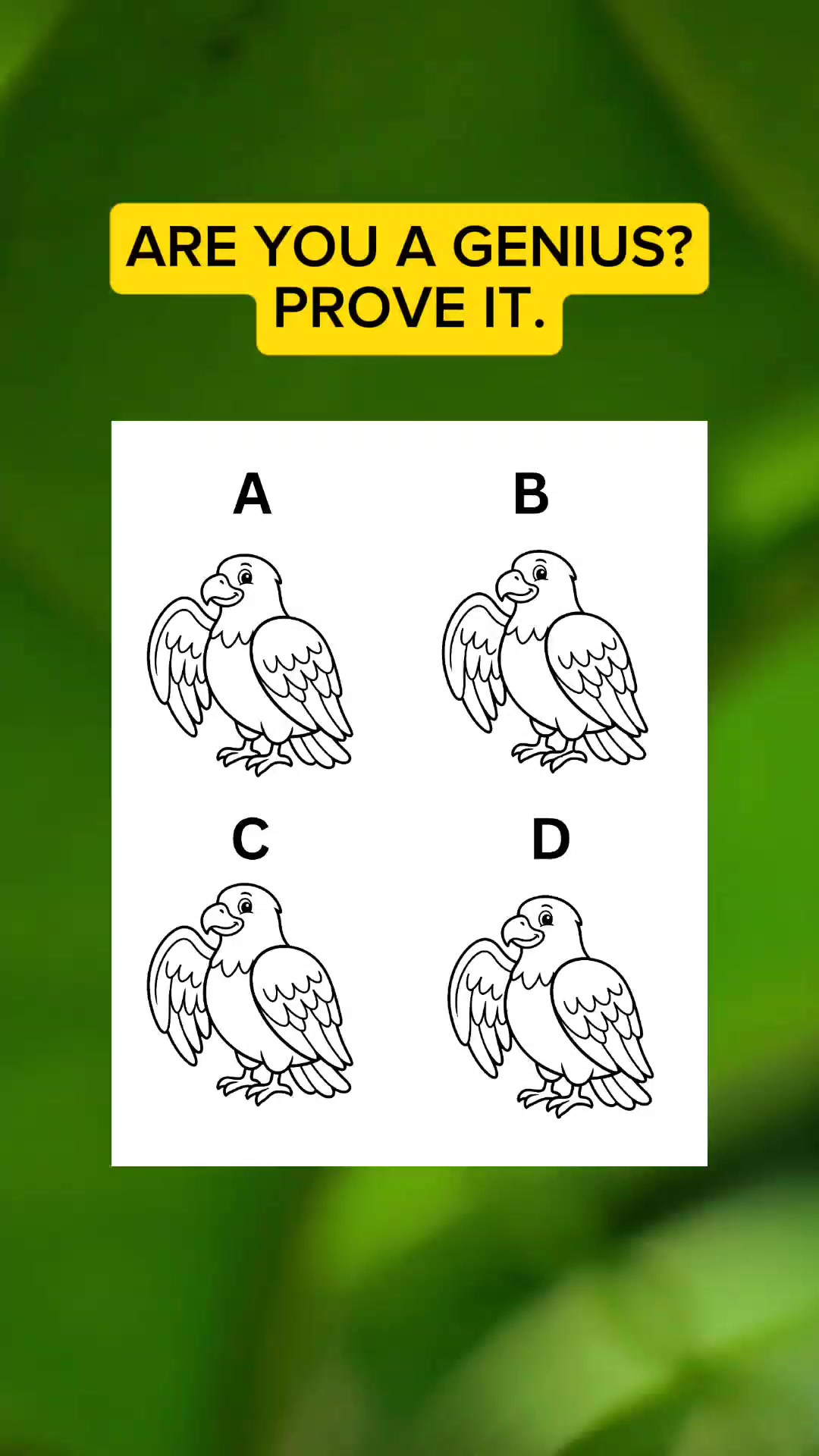 #puzzle #quiz #riddles | Brain Exercises | Facebook