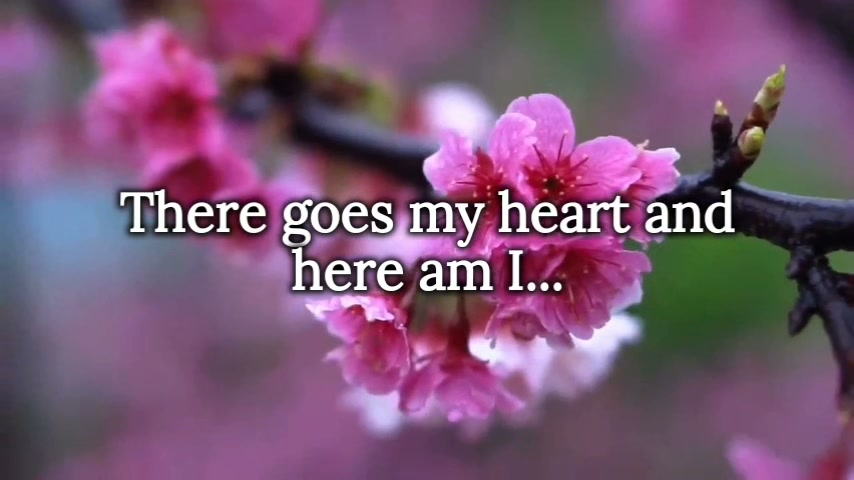 THERE GOES MY HEART - Nat King Cole (1953) | MUSIC of MY LIFE