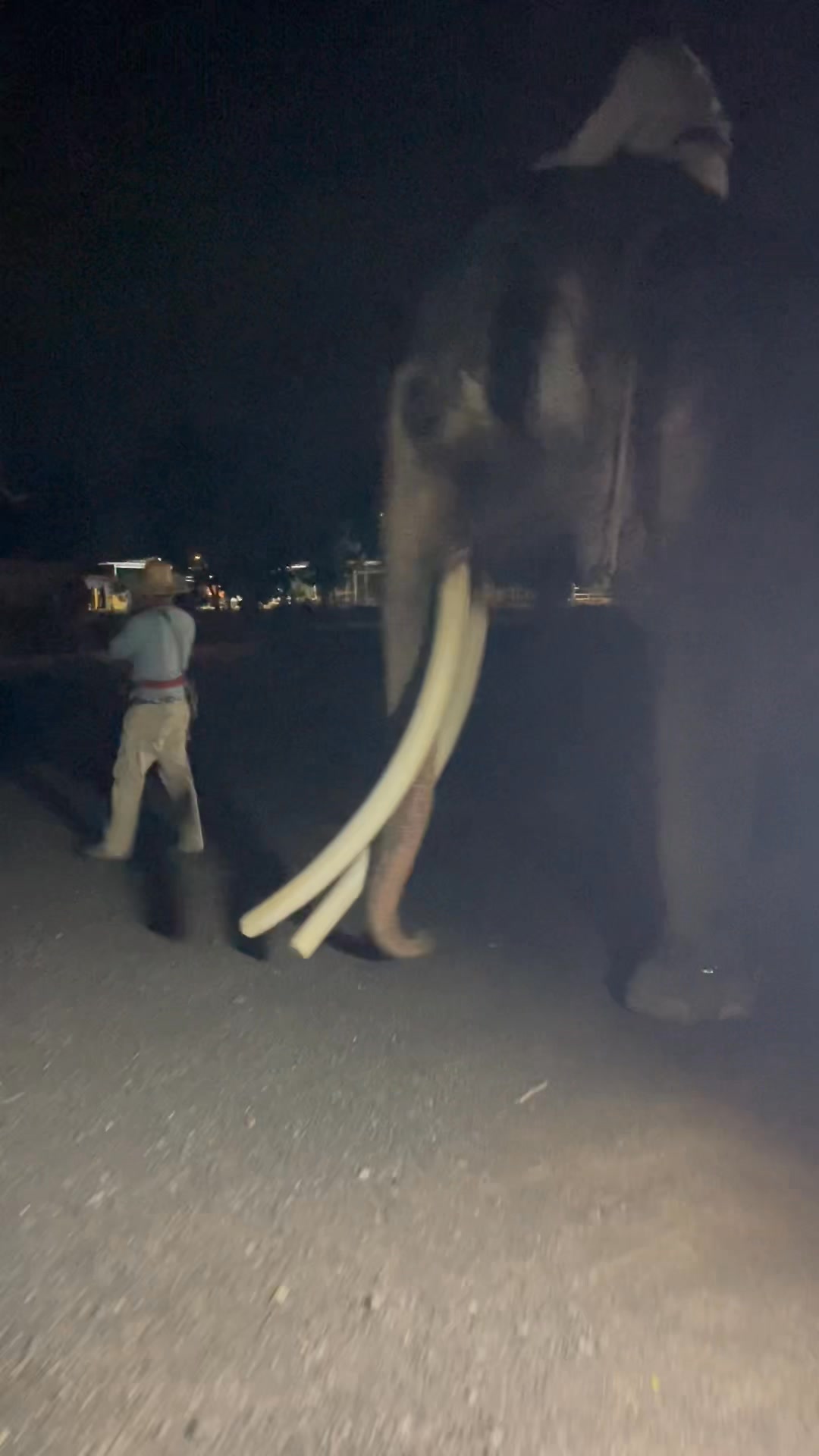 ผู้บ่าวเลข5 ถึงบ้านแล้วคร้าบบ ค่ำมืดเลยวันนี้ เหนื่อย แต่มีความสุข 😍🐘 🏻 ...