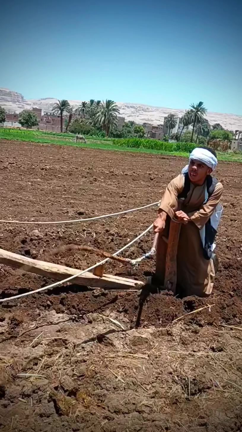 احنا التاريخ والحضاره #نصه_الصعيدي | نصه وابو عدي | Facebook