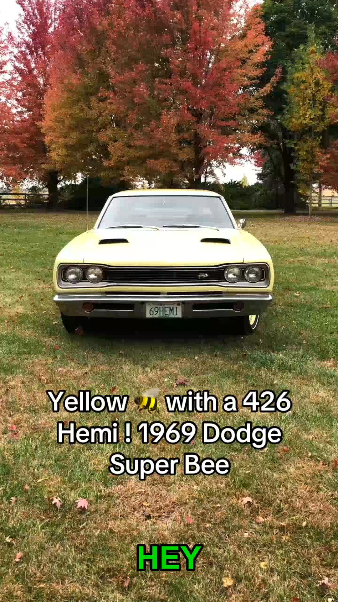 1969 ½ Dodge Super Bee | My Car Story With Lou