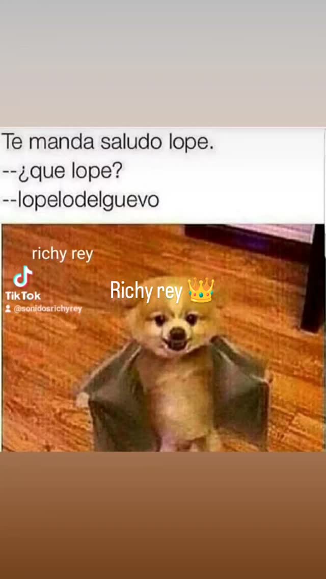 Richy rey la que manda - 