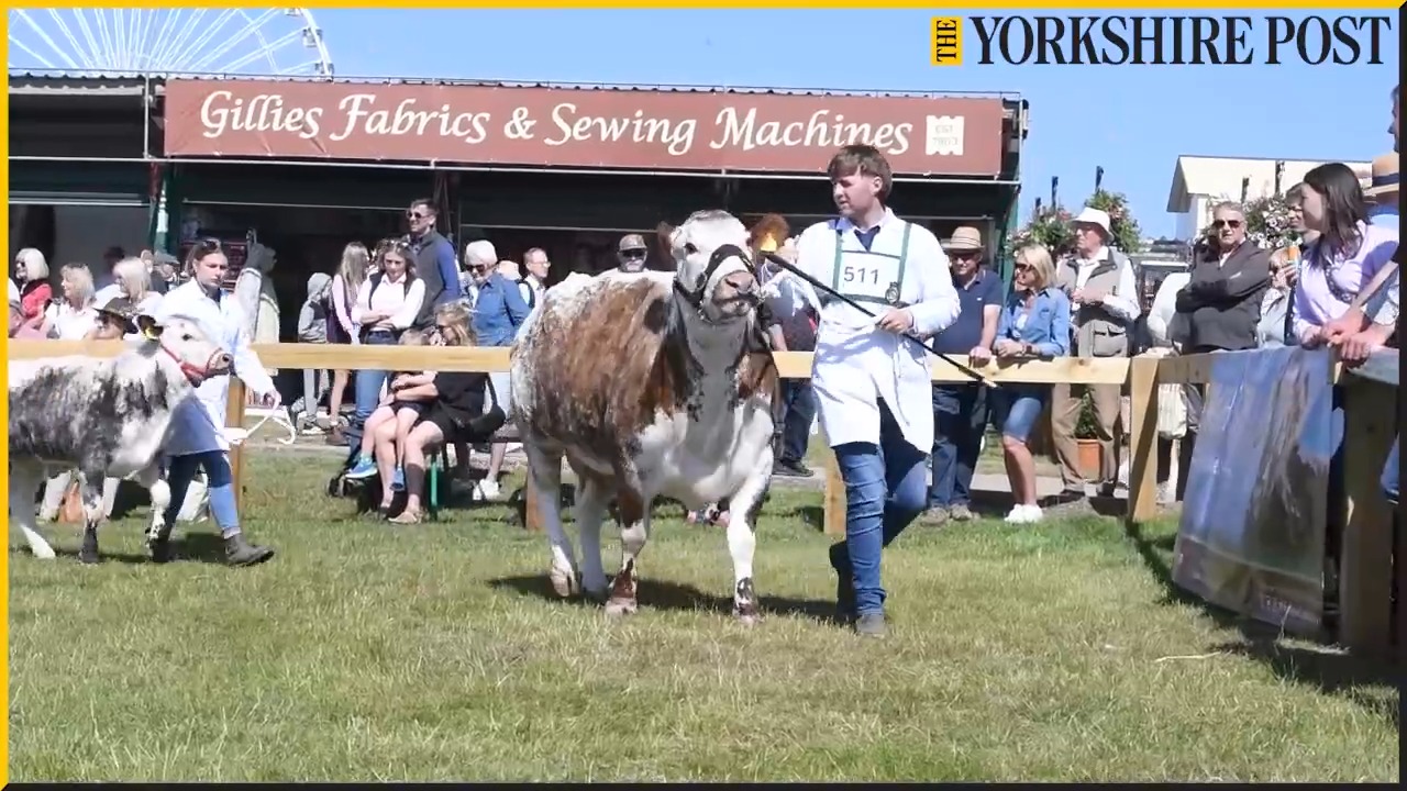 Watch our video showing the best of the action from day 1 of the Great ...