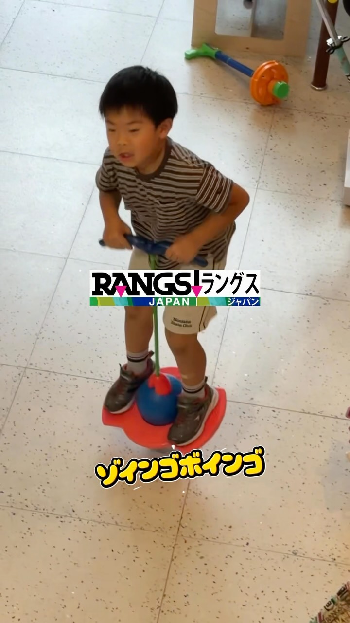 バランス感覚や体幹が鍛えられるものばかり ラングスジャパンの