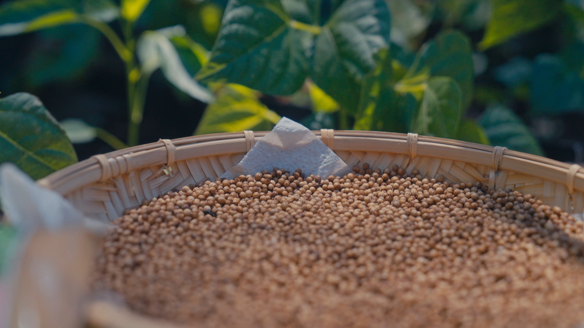 Benthara Spices | Melbourne VIC