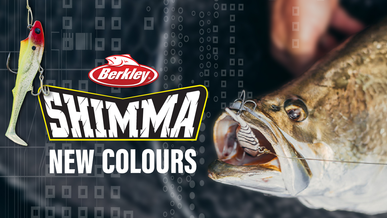 Berkley Shimma NEW Range! 💦 Building upon the existing lineup, 2025 ...