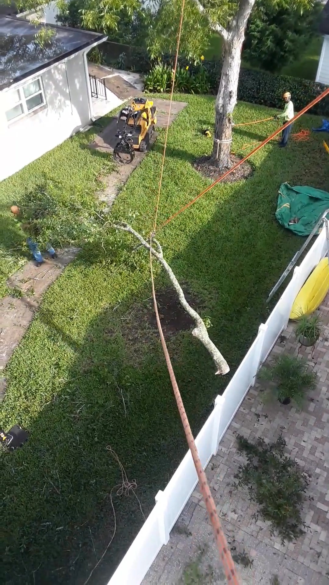 A little bit of controlled span rigging. #jacksonville #trees # ...