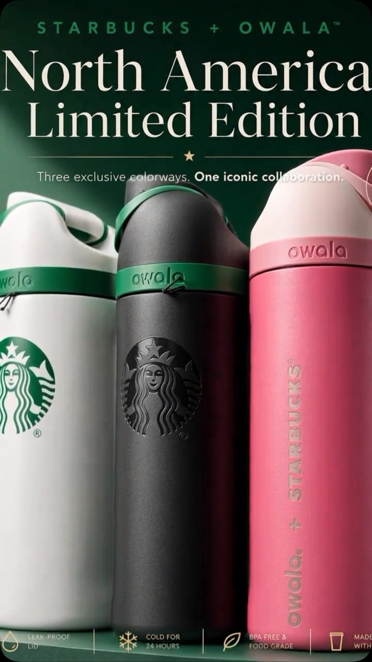 台湾限定🇹🇼】 STARLUX航空 × Starbucks コラボアイテム☕️ 台湾の