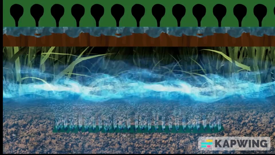 Capiphon Drainage Victoria