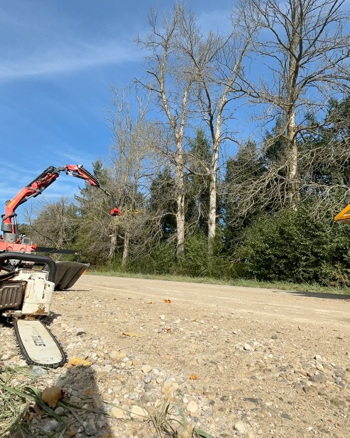 Maple Hill Tree Services | Burlington ON