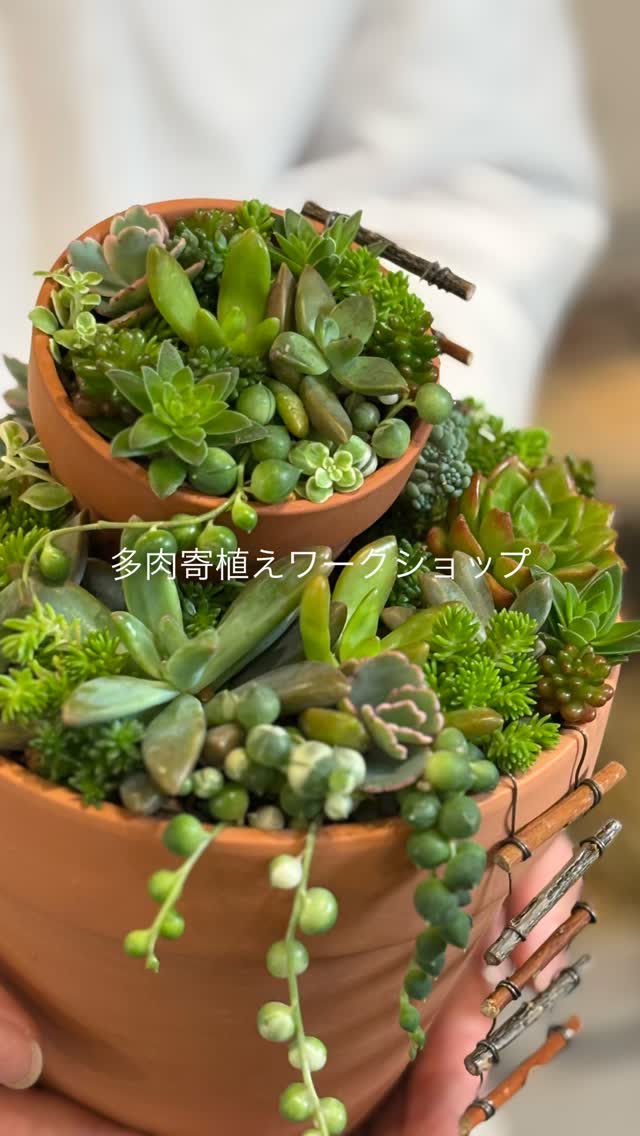 89's flower | Kita-ku Tokyo
