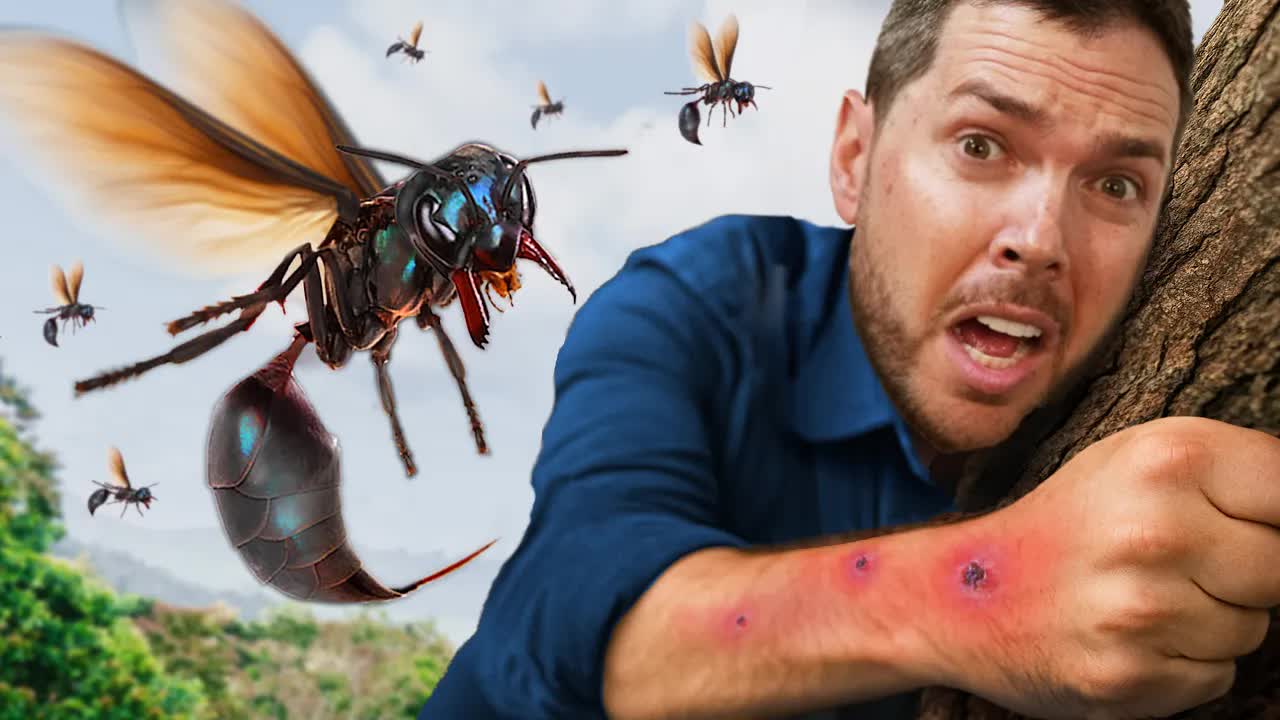 This was the craziest catch of my career! I used a drone to capture one ...