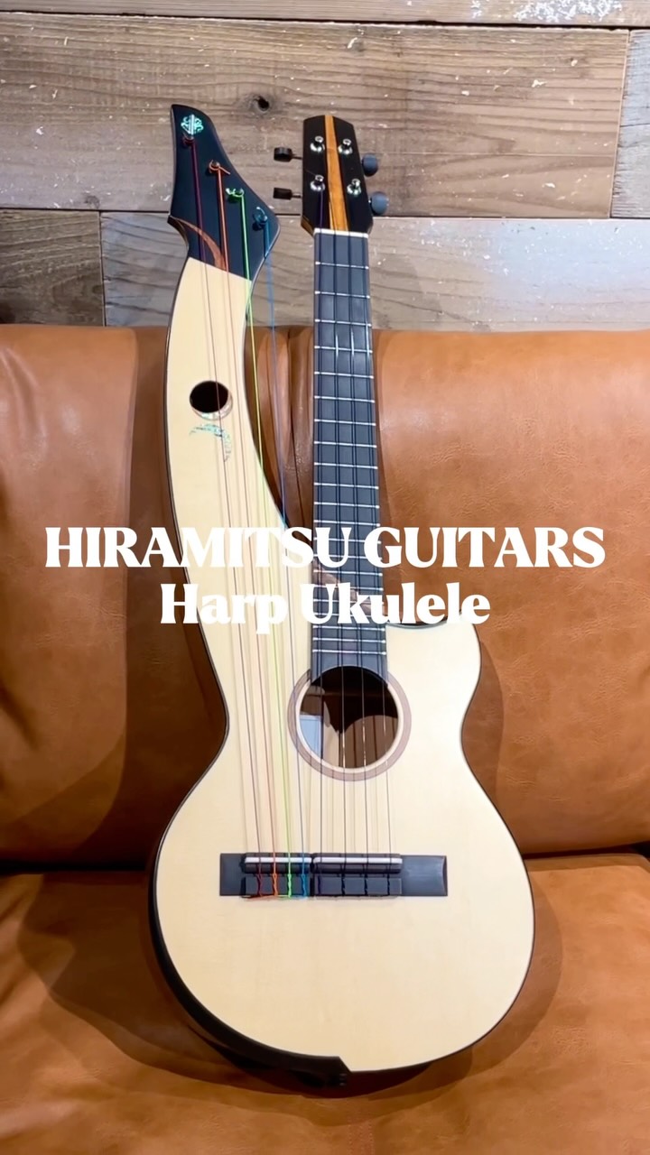 Dolphin Guitars(ドルフィンギターズ） | Suita-shi Osaka