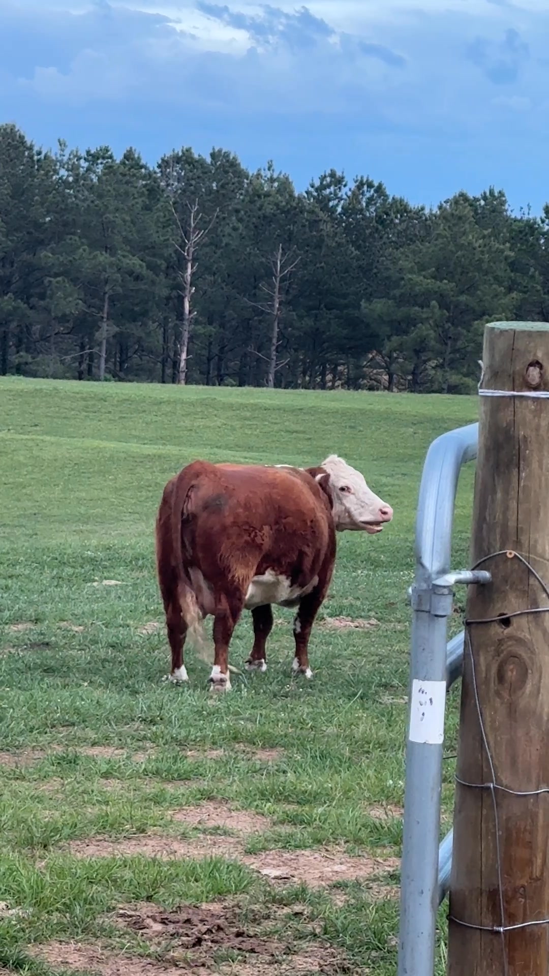 Mrs Cog Hill Farm