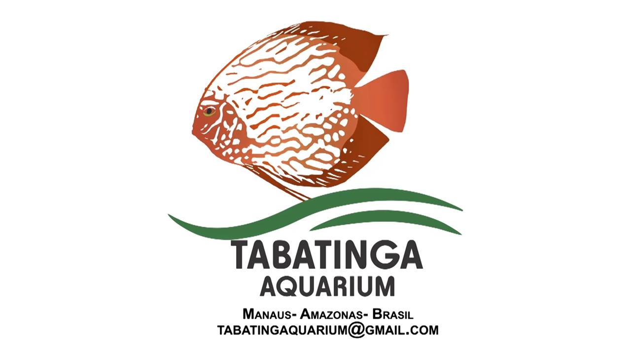 Tabatinga Aquarium