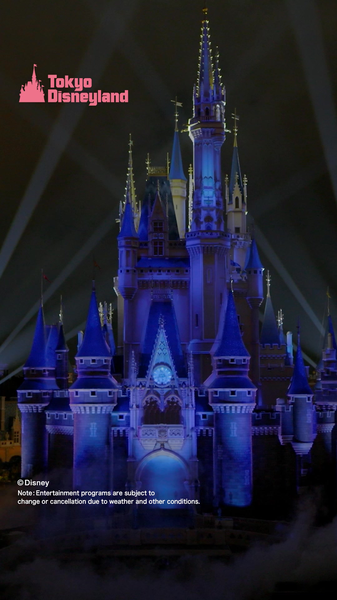 Experience Disney Stories | 東京ディズニーリゾート