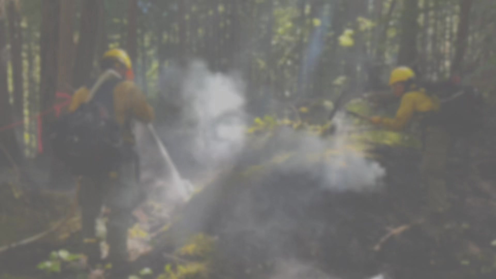Firefighters have been working tirelessly to suppress the Foley Ridge ...