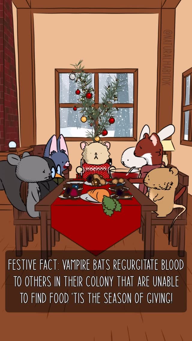 A MERRY CHRISTMAS COMPILATION🎅🎄#naturalhabitatshorts