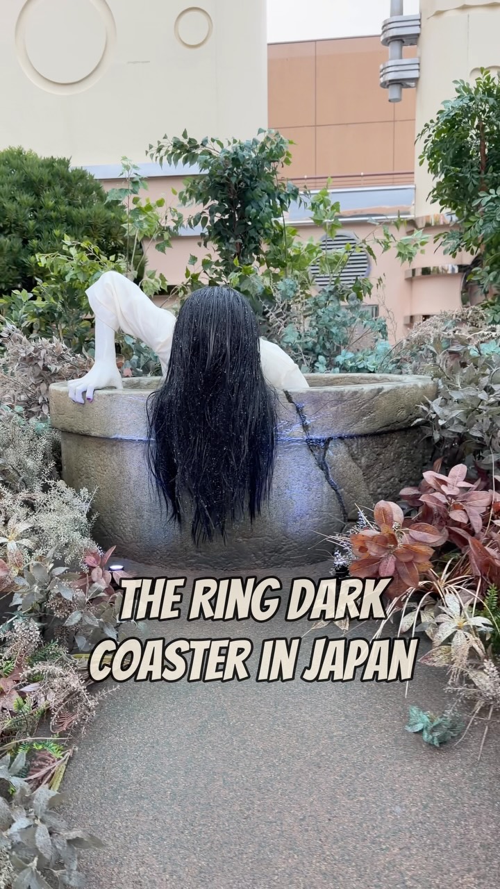 ディズニー　タペストリー TDR Explorer - TDR Explorer added a new photo.