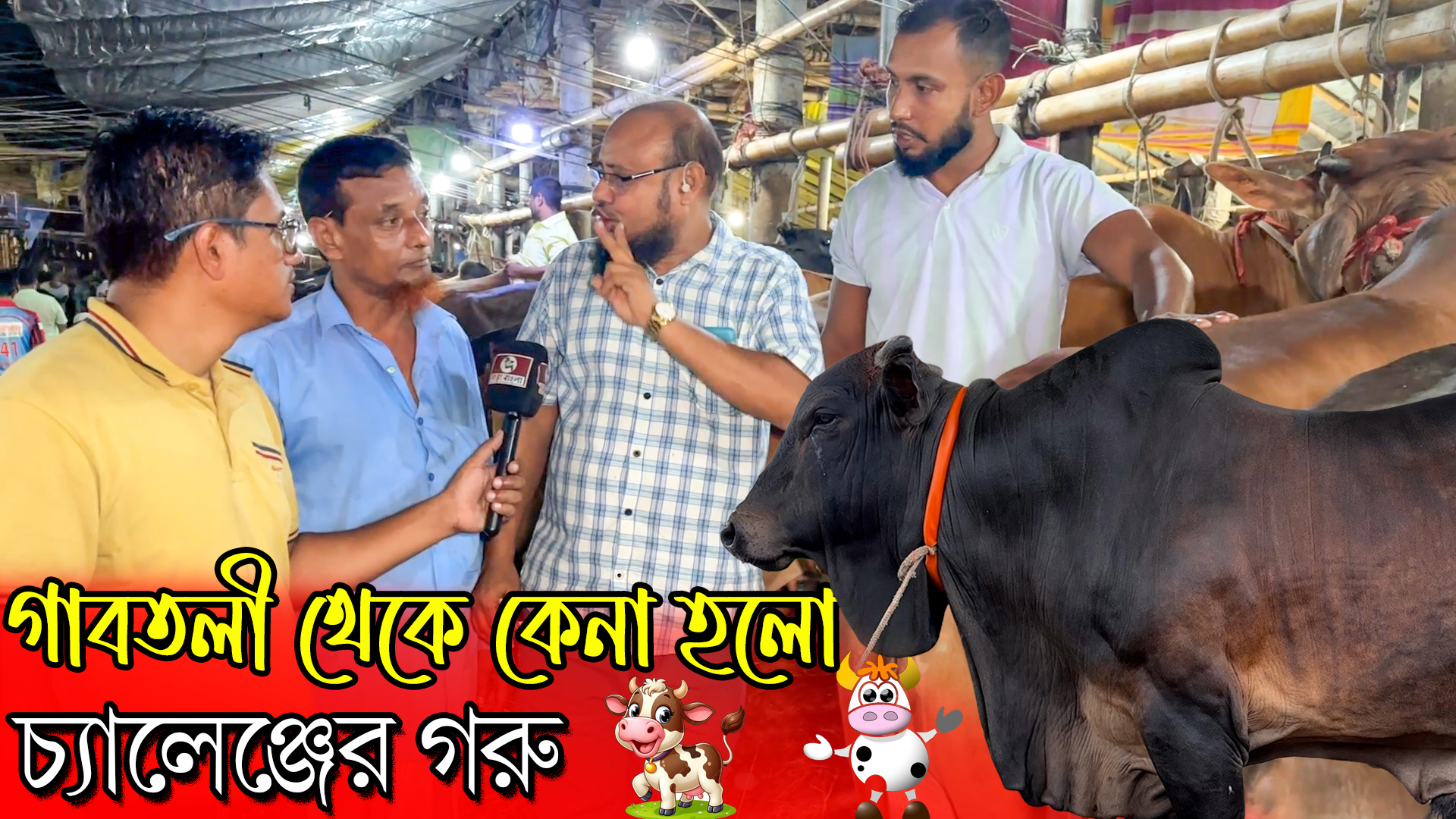 এবার আকরাম ভাইয়ের মত ওপেন চ্যালেঞ্জ করে গরু কিনলো মাংস ব্যবসায়ী সাগর