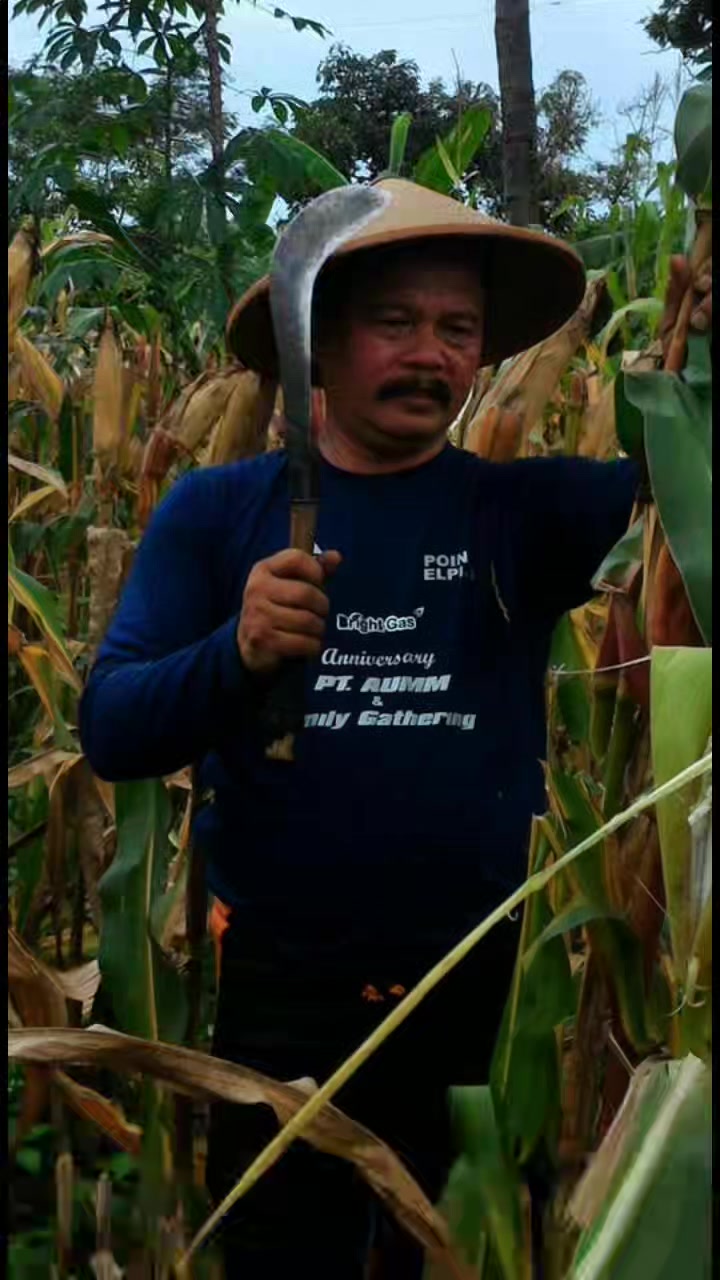 Wawan Kusmawan