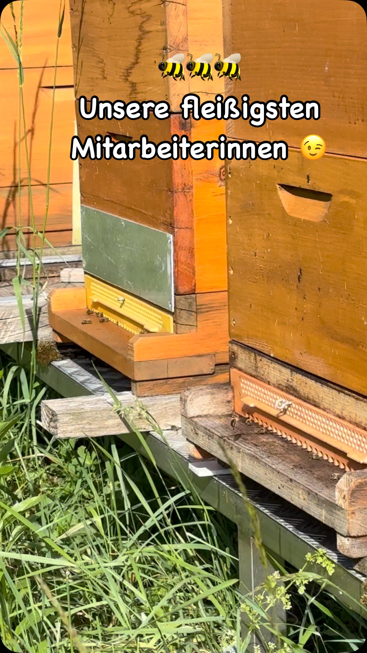 Huber KSS Service GmbH | Lambach