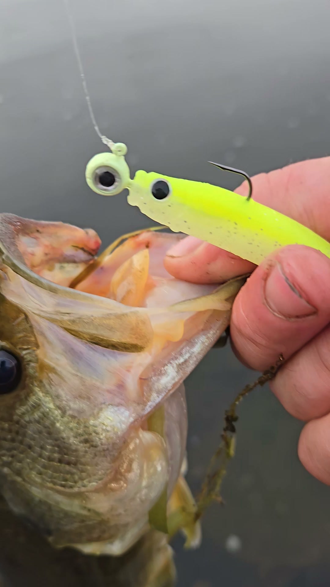 best laptop 2016 backpack Amazon Sellers: Best Backpacks Blu scuro Color:JT's Best Color Ever Bass Fishing Lures, Baits,