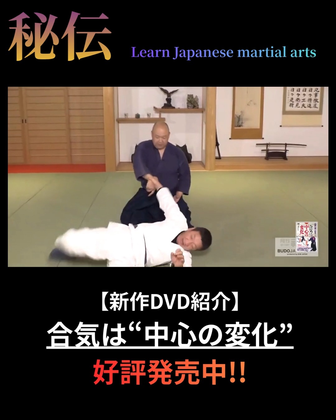 ☆最後の伝説が遺した技 武術と肉体鍛錬のあくなき追求 DVD『浅井星光