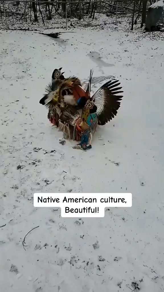 Please something about this video! #NativeAmerican #Indigenous # ...