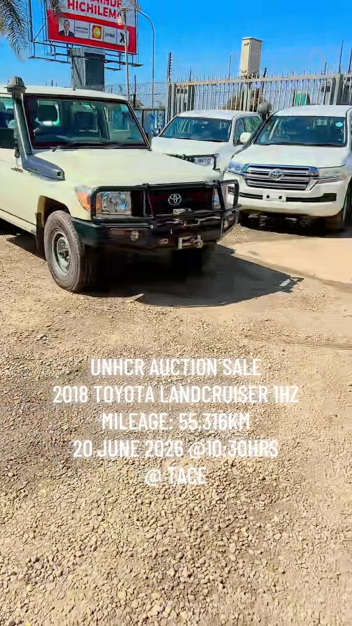 🔴 MASSIVE AUCTION SALE ON BEHALF OF UNHCR 🟢BY TACE - THE AUCTION