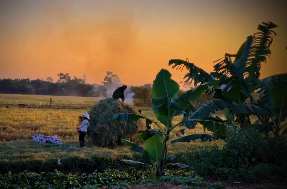 Lớn lên ở làng quê, quen với mùi rơm rạ, trưa nắng trốn ngủ đi chơi ...
