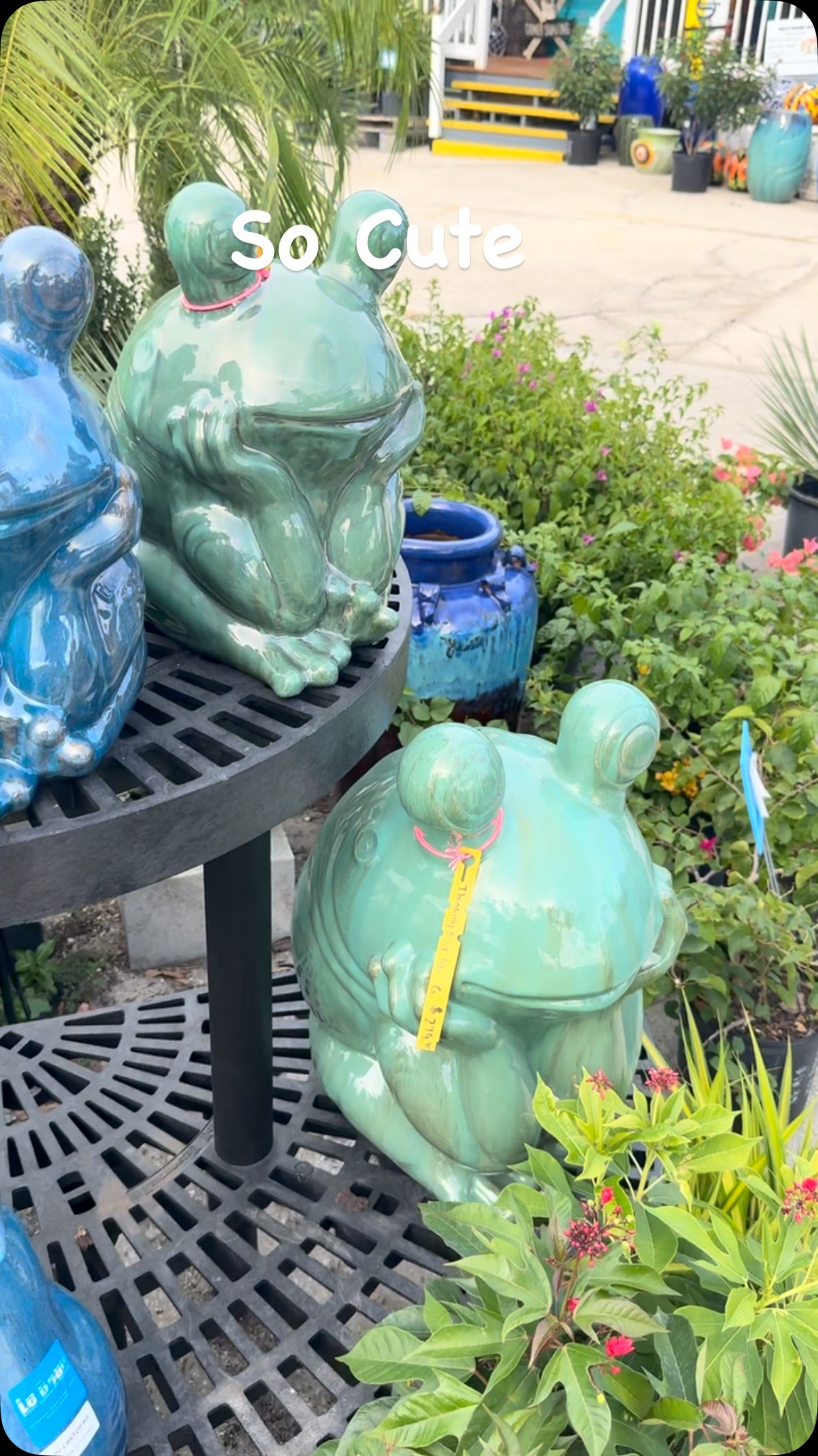 Hop on in to Emerald Island GC and check these out! #frog