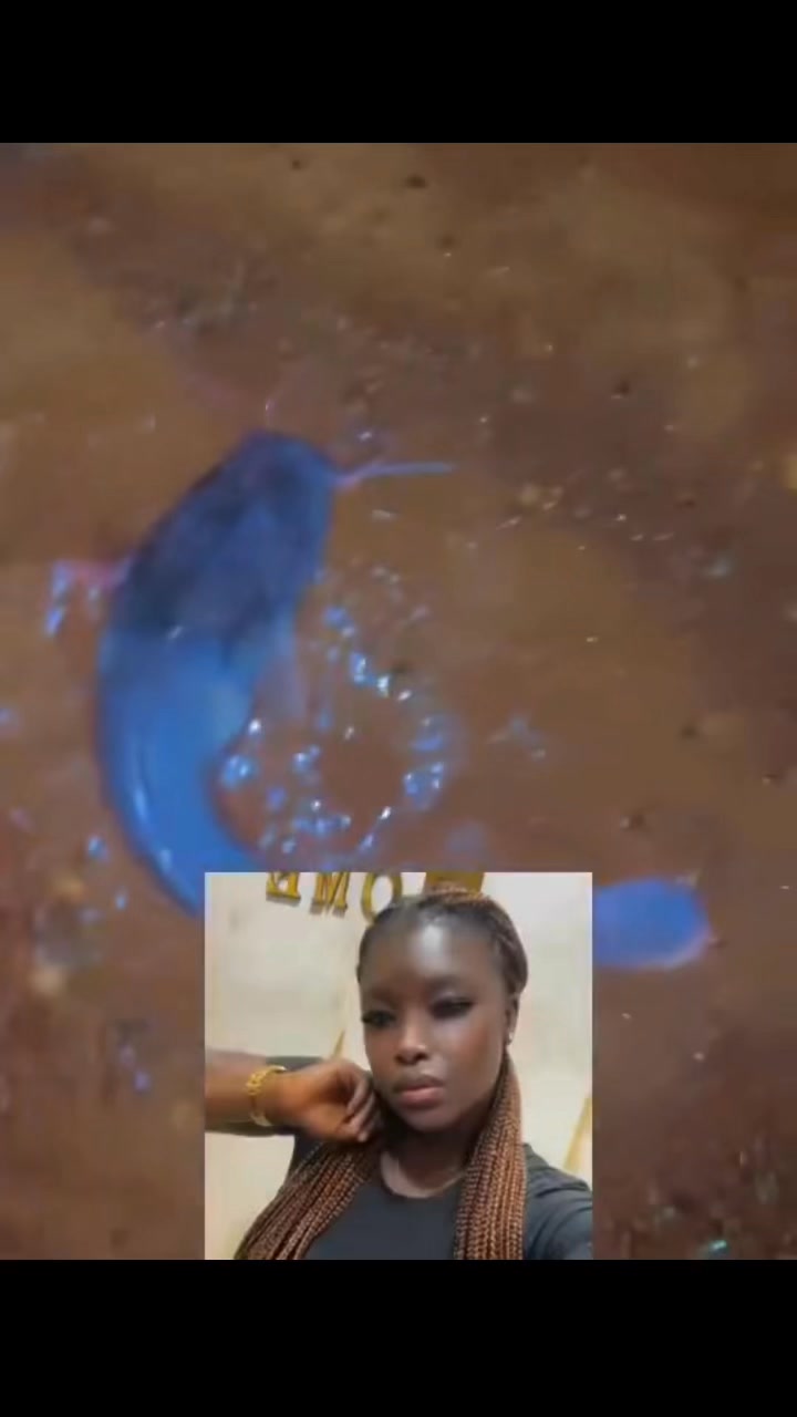 A lady was overjoyed and surprised after finding a catfish that she believes fell from the sky. She said it was a gift from God and added that next time, He should send her gold instead of a fish