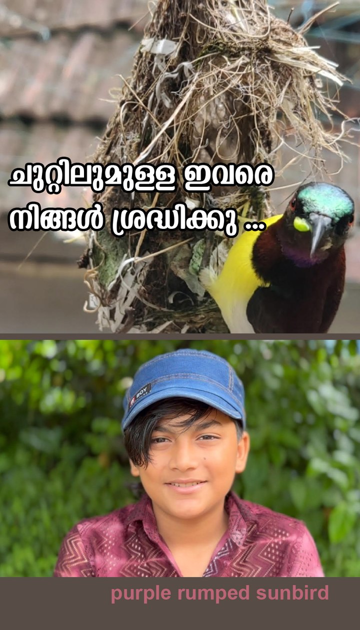 ZeyAli Vibes
