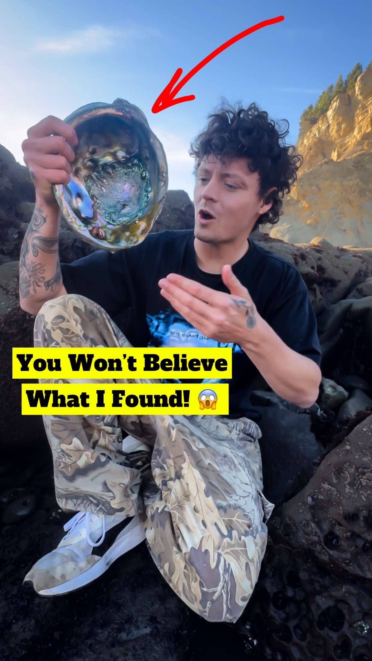Did You Know Abalone Shells Are Tougher Than Concrete?! ‼️😱Abalone ...