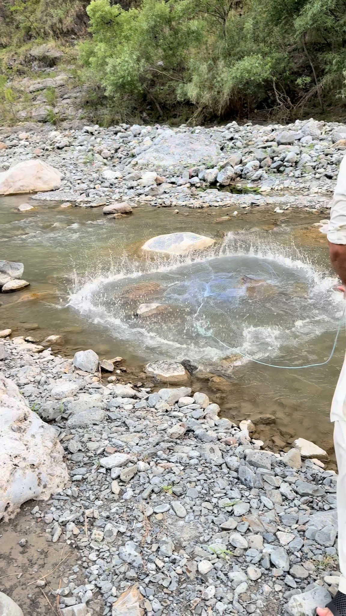 Net Fishing with Hamza on Reels | Facebook