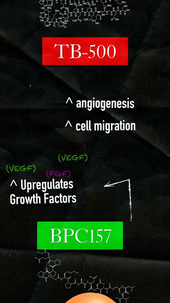 ryan humiston bpc 157 part 5 Is the bright red vitamin b12 methylcobalamin vitamin b complex methylcobalamin lipotropic fat burner b12 injectable b12 b complex GLP-RT Quantity:30mg