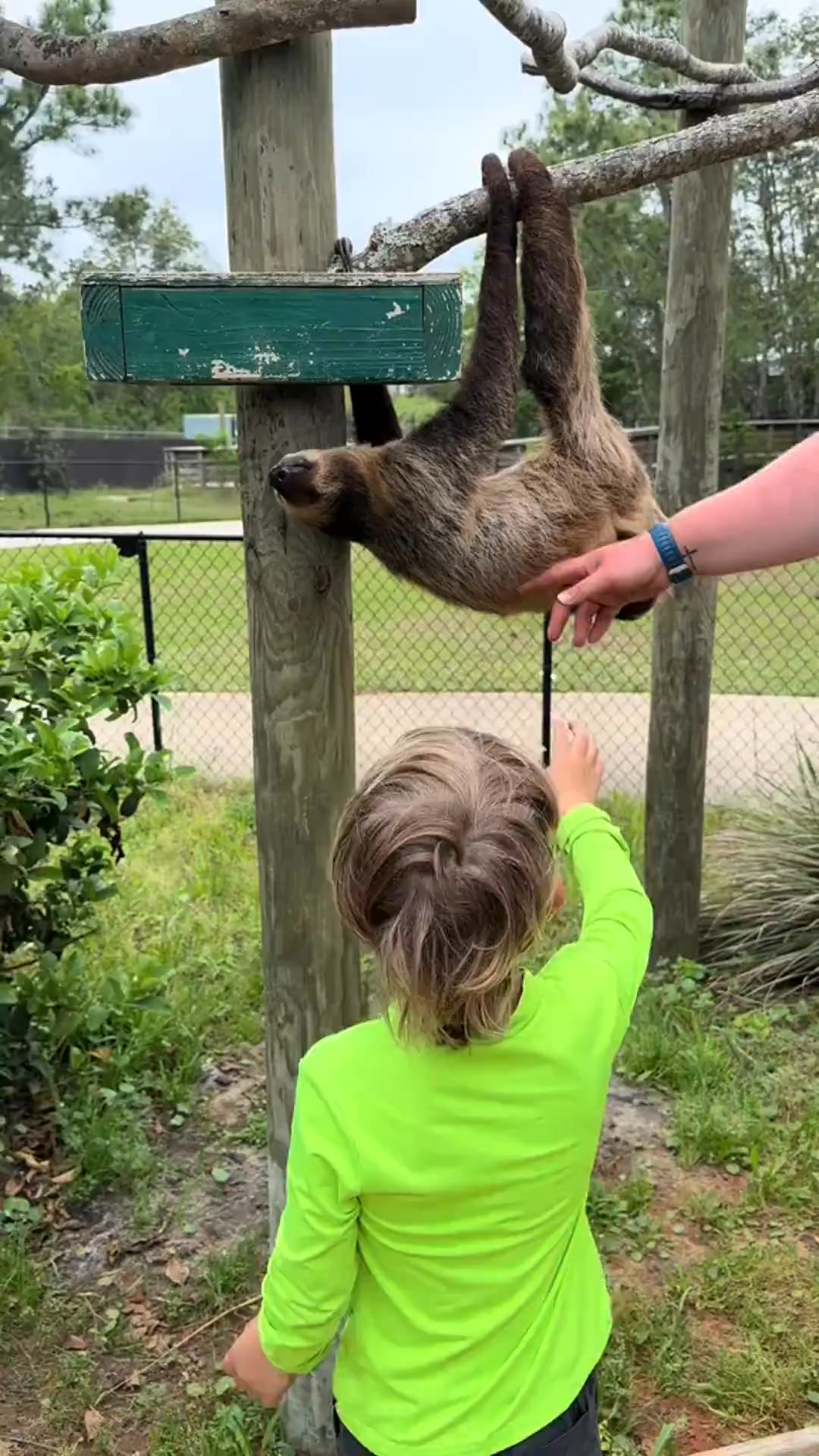 The Little Zoo That Could thoroughly impressed us and the sloth